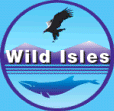 wild isles on the isle of mull